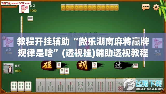 教程开挂辅助“微乐湖南麻将赢牌规律是啥”(透视挂)辅助透视教程