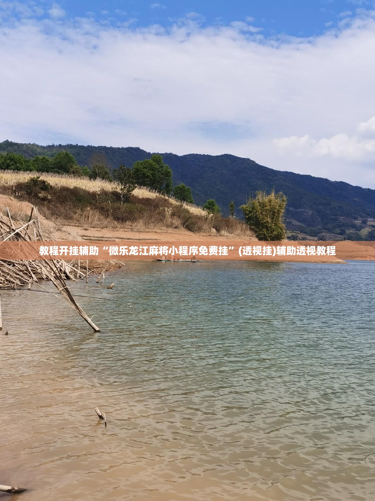 教程开挂辅助“微乐龙江麻将小程序免费挂”(透视挂)辅助透视教程
