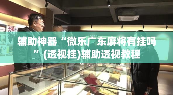 辅助神器“微乐广东麻将有挂吗	”(透视挂)辅助透视教程