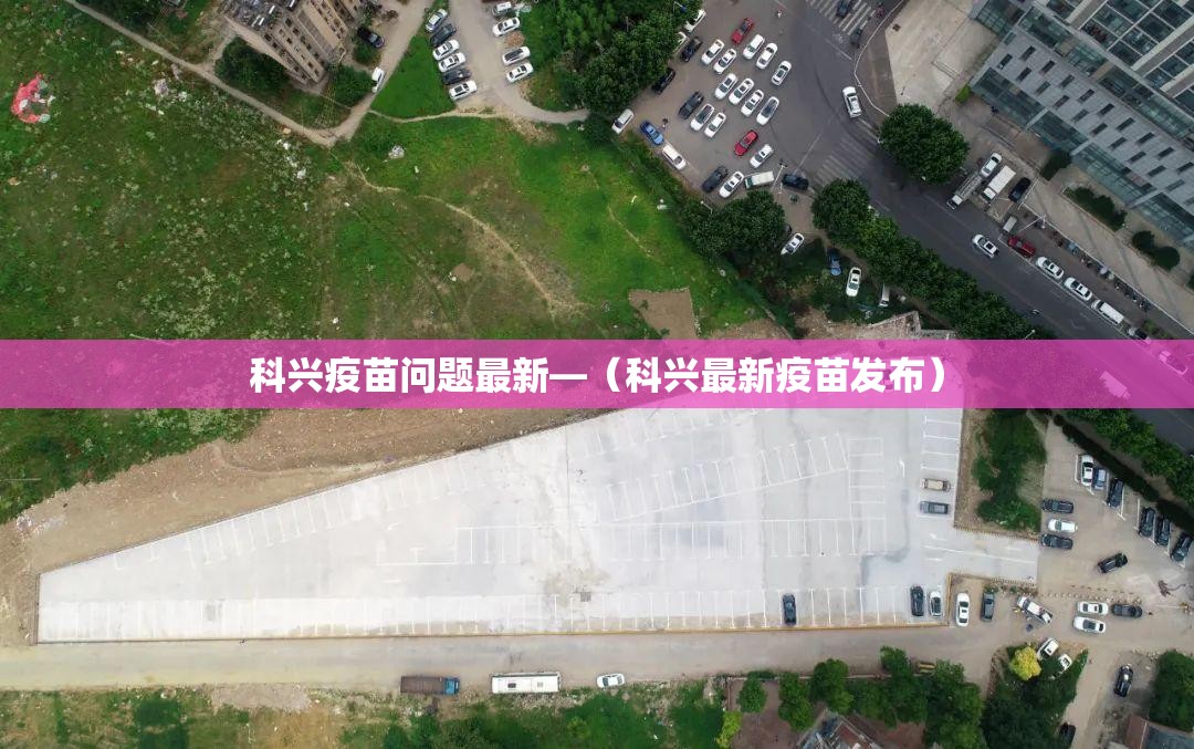 科兴疫苗问题最新—(科兴最新疫苗发布) 科兴疫苗问题最新—(科兴最新疫苗发布)