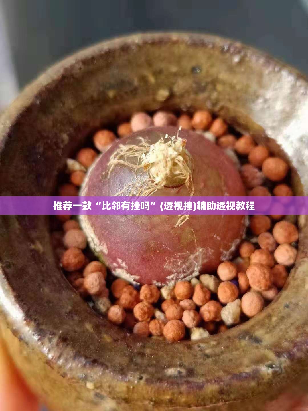 推荐一款“比邻有挂吗”(透视挂)辅助透视教程