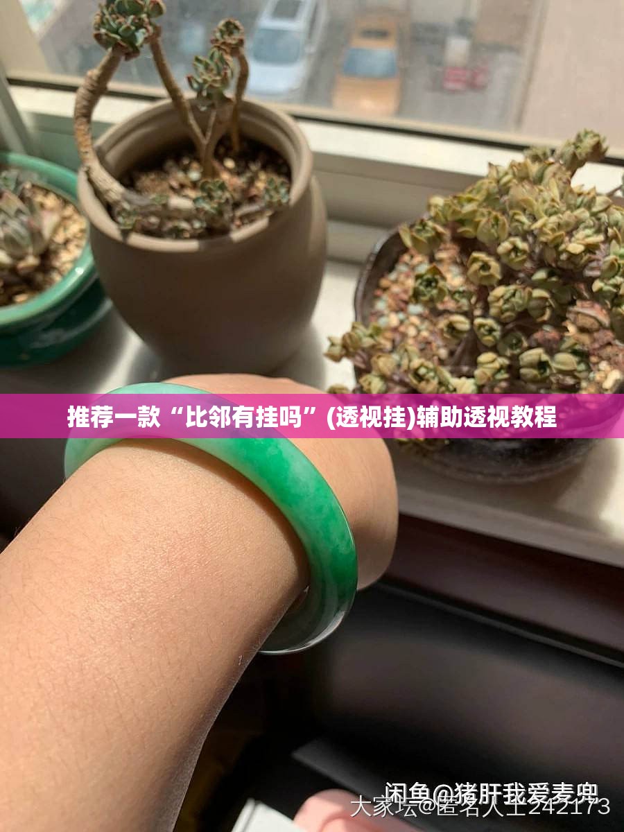 推荐一款“比邻有挂吗”(透视挂)辅助透视教程