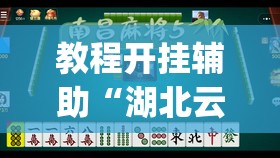 教程开挂辅助“湖北云雀麻将确实有挂吗”(透视挂)辅助透视教程