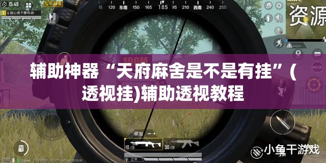 辅助神器“天府麻舍是不是有挂”(透视挂)辅助透视教程