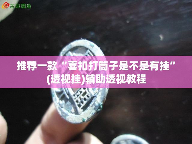 推荐一款“喜扣打筒子是不是有挂”(透视挂)辅助透视教程