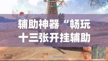 辅助神器“畅玩十三张开挂辅助软件	”(透视挂)辅助透视教程