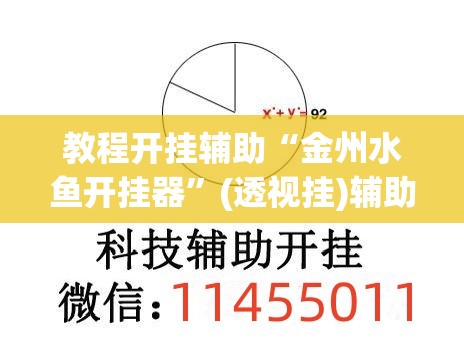 教程开挂辅助“金州水鱼开挂器	”(透视挂)辅助透视教程