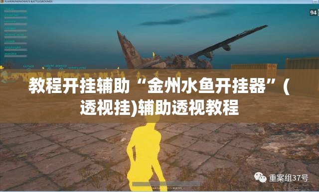 教程开挂辅助“金州水鱼开挂器”(透视挂)辅助透视教程