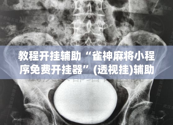 教程开挂辅助“雀神麻将小程序免费开挂器”(透视挂)辅助透视教程