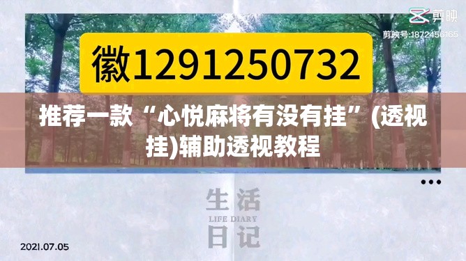 推荐一款“心悦麻将有没有挂”(透视挂)辅助透视教程