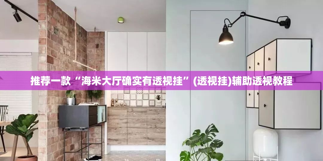 推荐一款“海米大厅确实有透视挂”(透视挂)辅助透视教程