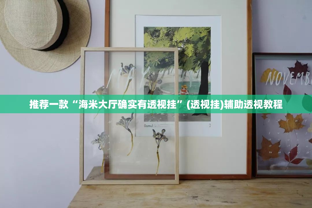 推荐一款“海米大厅确实有透视挂”(透视挂)辅助透视教程