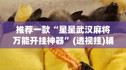 推荐一款“星星武汉麻将万能开挂神器	”(透视挂)辅助透视教程