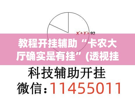 教程开挂辅助“卡农大厅确实是有挂	”(透视挂)辅助透视教程