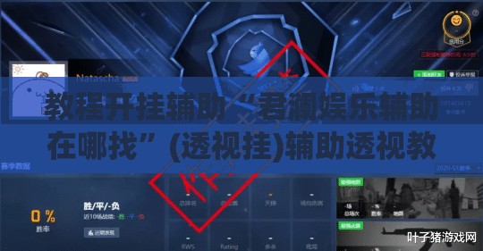 教程开挂辅助“君澜娱乐辅助在哪找	”(透视挂)辅助透视教程