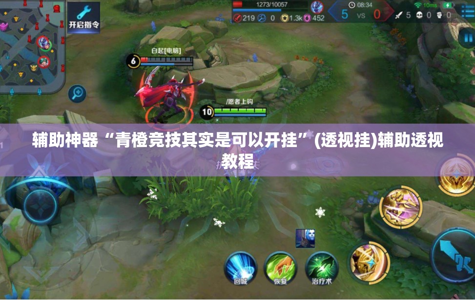 辅助神器“青橙竞技其实是可以开挂”(透视挂)辅助透视教程