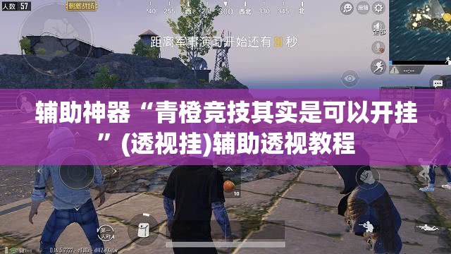 辅助神器“青橙竞技其实是可以开挂”(透视挂)辅助透视教程