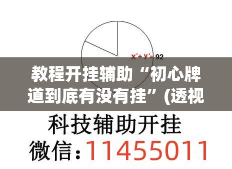 教程开挂辅助“初心牌道到底有没有挂”(透视挂)辅助透视教程