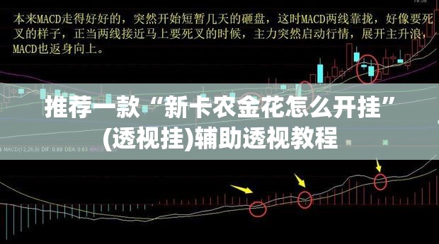 推荐一款“新卡农金花怎么开挂	”(透视挂)辅助透视教程