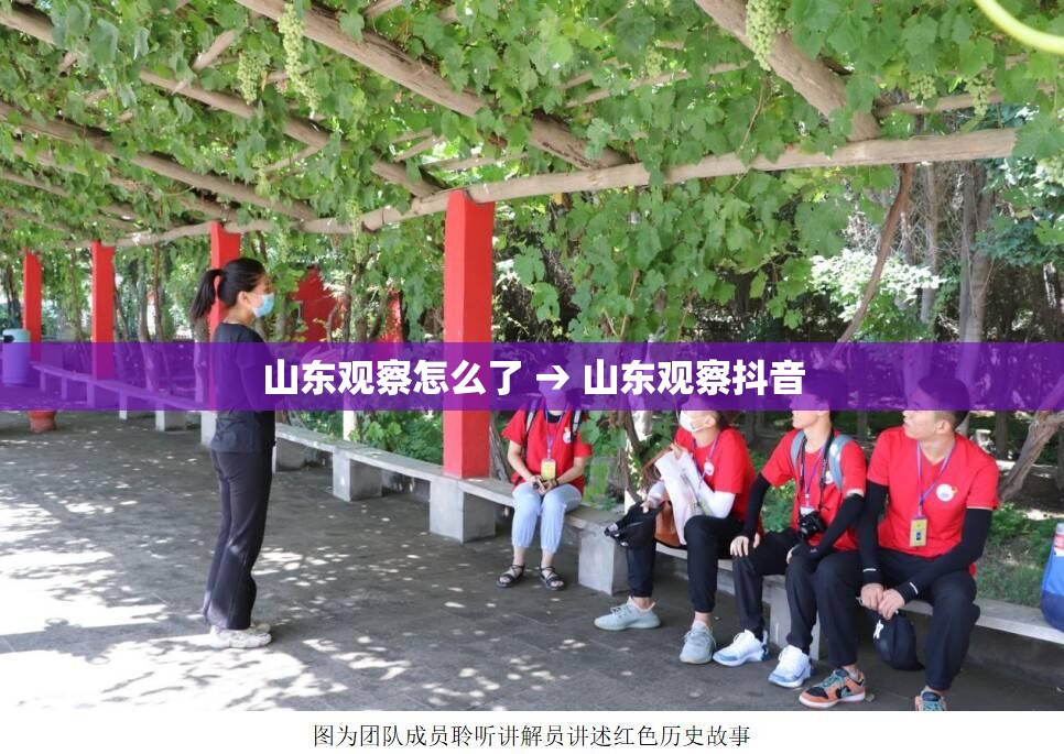 山东观察怎么了 → 山东观察抖音