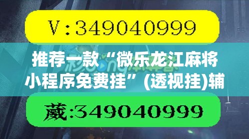 推荐一款“微乐龙江麻将小程序免费挂”(透视挂)辅助透视教程