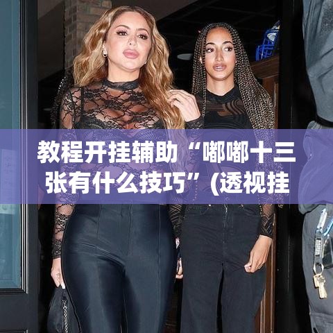 教程开挂辅助“嘟嘟十三张有什么技巧	”(透视挂)辅助透视教程