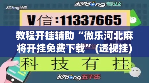 教程开挂辅助“微乐河北麻将开挂免费下载”(透视挂)辅助透视教程