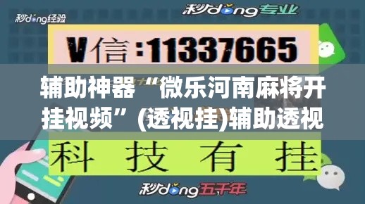 辅助神器“微乐河南麻将开挂视频”(透视挂)辅助透视教程