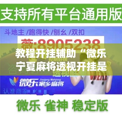 教程开挂辅助“微乐宁夏麻将透视开挂是不是真的”(透视挂)辅助透视教程