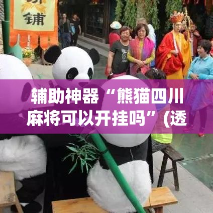 辅助神器“熊猫四川麻将可以开挂吗”(透视挂)辅助透视教程