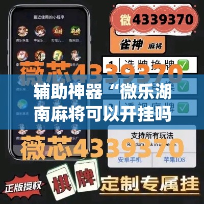 辅助神器“微乐湖南麻将可以开挂吗”(透视挂)辅助透视教程