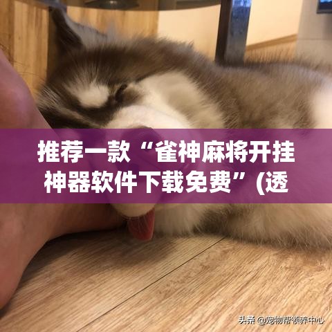 推荐一款“雀神麻将开挂神器软件下载免费”(透视挂)辅助透视教程