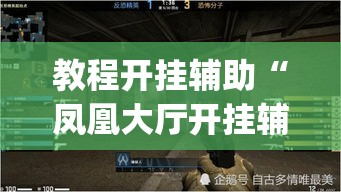 教程开挂辅助“凤凰大厅开挂辅助”(透视挂)辅助透视教程