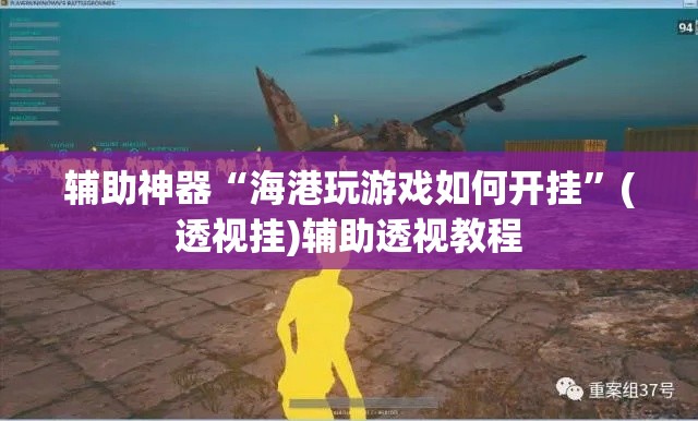 辅助神器“海港玩游戏如何开挂”(透视挂)辅助透视教程