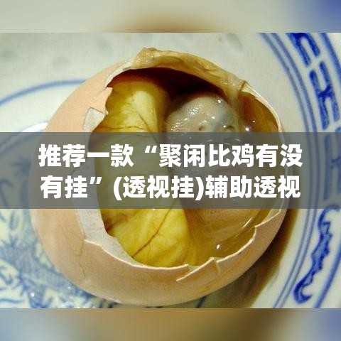 推荐一款“聚闲比鸡有没有挂”(透视挂)辅助透视教程