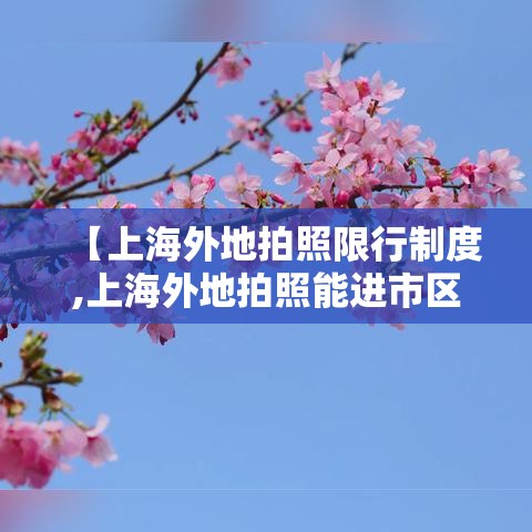 【上海外地拍照限行制度,上海外地拍照能进市区吗】 【上海外地拍照限行制度,上海外地拍照能进市区吗】