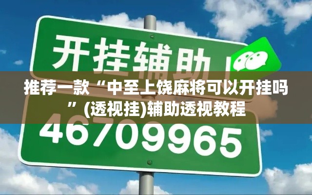 推荐一款“中至上饶麻将可以开挂吗	”(透视挂)辅助透视教程