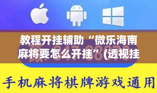 教程开挂辅助“微乐海南麻将要怎么开挂”(透视挂)辅助透视教程