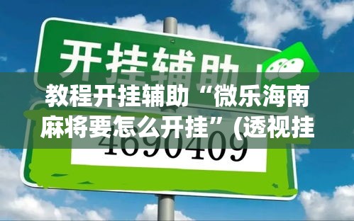 教程开挂辅助“微乐海南麻将要怎么开挂”(透视挂)辅助透视教程