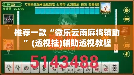 推荐一款“微乐云南麻将辅助	”(透视挂)辅助透视教程