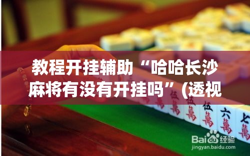 教程开挂辅助“哈哈长沙麻将有没有开挂吗”(透视挂)辅助透视教程