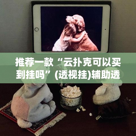 推荐一款“云扑克可以买到挂吗	”(透视挂)辅助透视教程