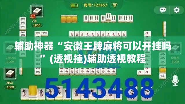 辅助神器“安徽王牌麻将可以开挂吗”(透视挂)辅助透视教程