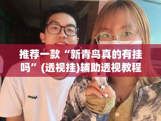 推荐一款“新青鸟真的有挂吗”(透视挂)辅助透视教程