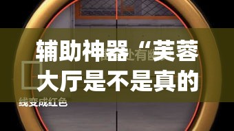 辅助神器“芙蓉大厅是不是真的有挂”(透视挂)辅助透视教程