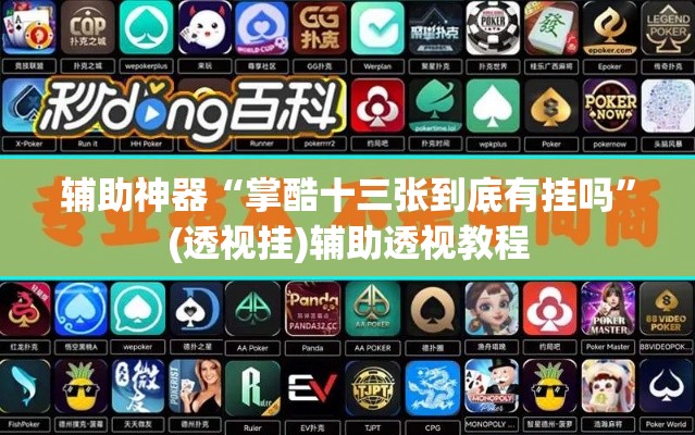 辅助神器“掌酷十三张到底有挂吗	”(透视挂)辅助透视教程