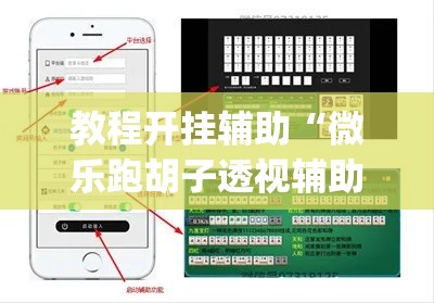教程开挂辅助“微乐跑胡子透视辅助挂	”(透视挂)辅助透视教程
