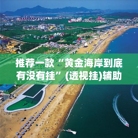 推荐一款“黄金海岸到底有没有挂	”(透视挂)辅助透视教程