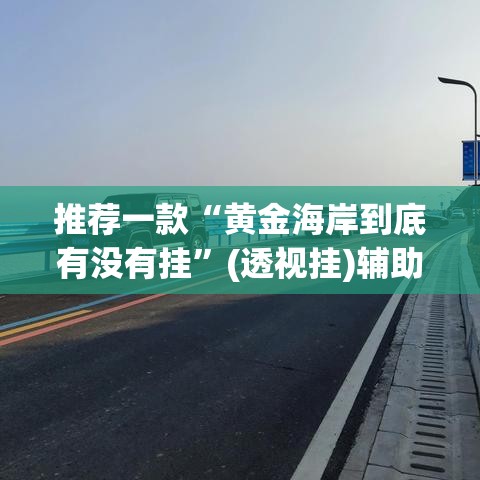 推荐一款“黄金海岸到底有没有挂”(透视挂)辅助透视教程