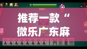 推荐一款“微乐广东麻将开挂教程”(透视挂)辅助透视教程